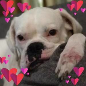 Meet your Posher, Allen